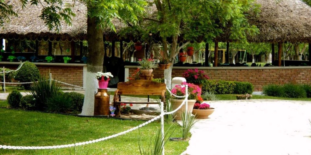 Palapa JDF
