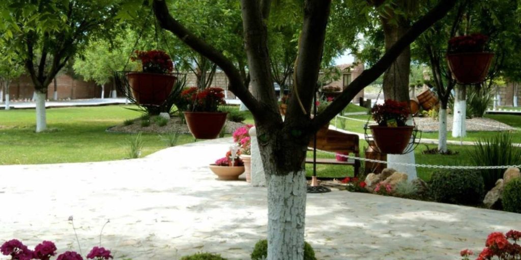 Palapa JDF