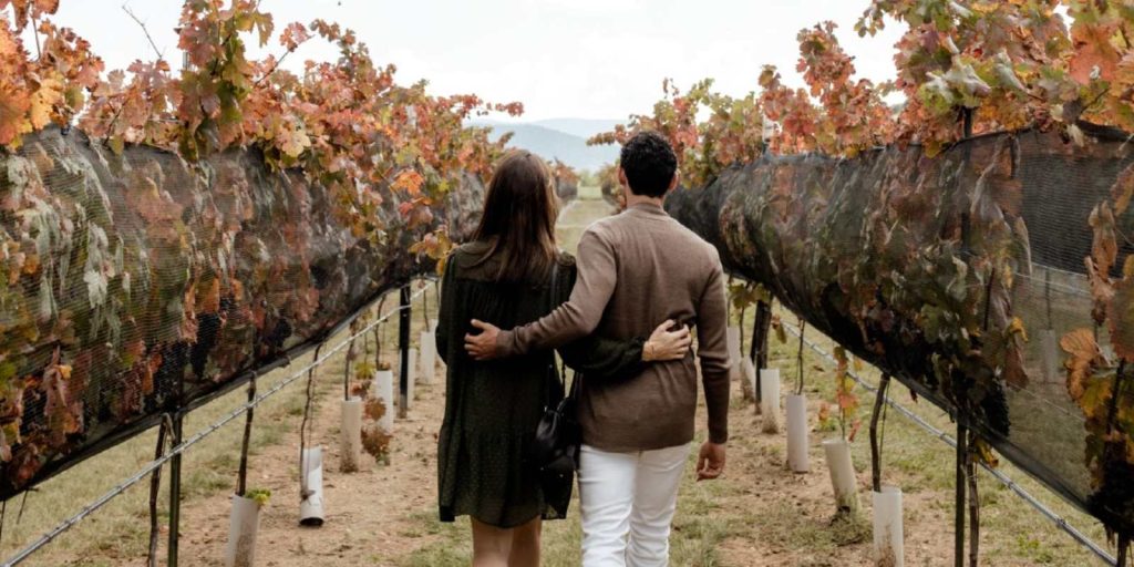 Bodega Los Cedros
