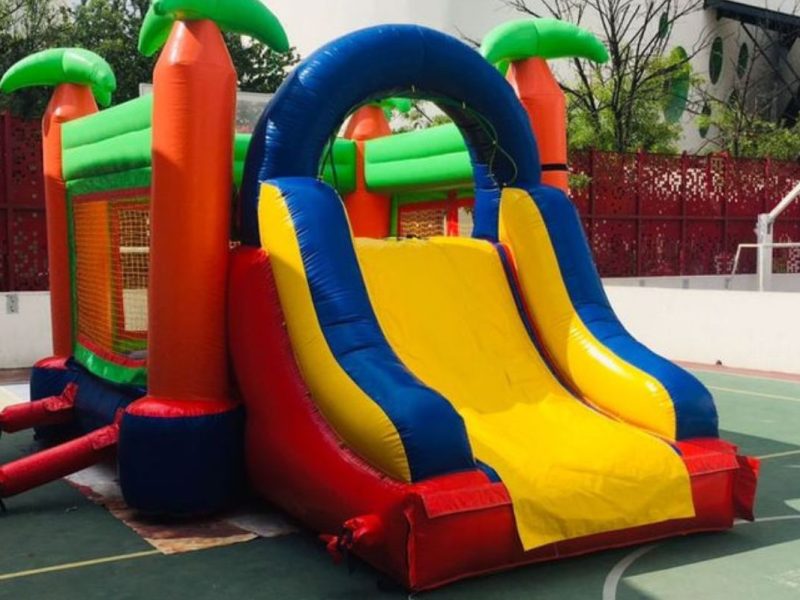 Renta de Inflable con Palmas