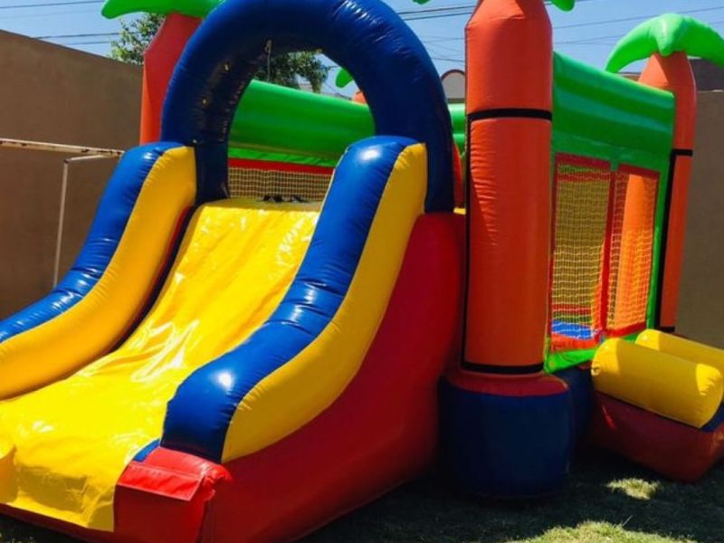 Renta de Inflable con Palmas