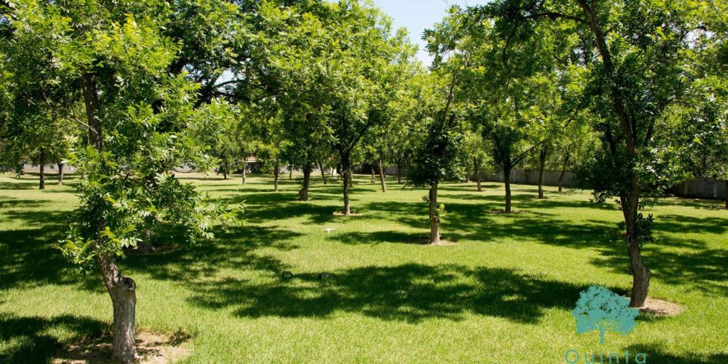 Quinta Fabiola
