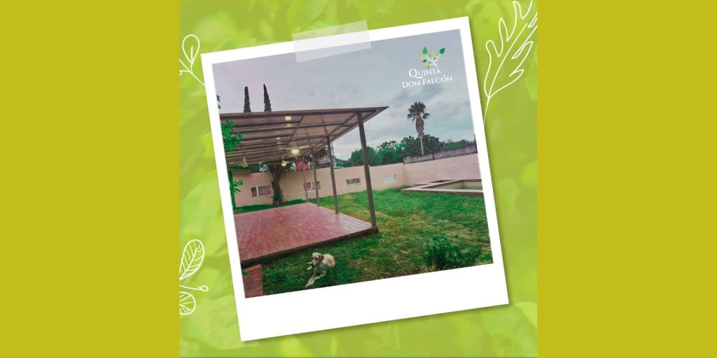 Quinta Don Falcon