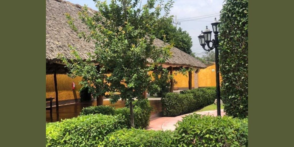 La Palapa del Tío