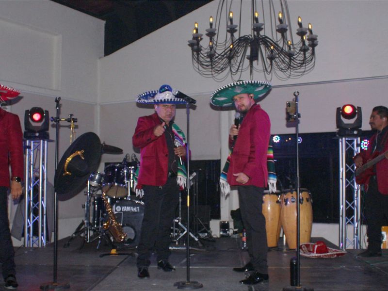 Grupo Musical Band Show