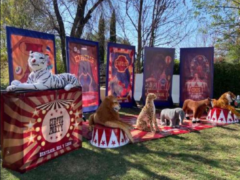 Fiestas con Temáticas de Circo para eventos