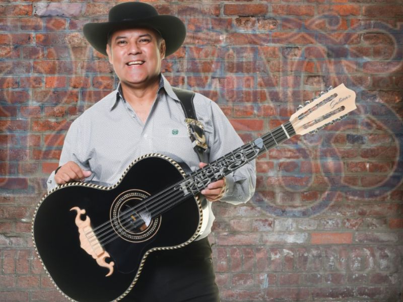 Los Palominos